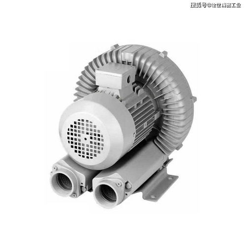 面粉厂使用高压鼓风机的注意事项与选购指南